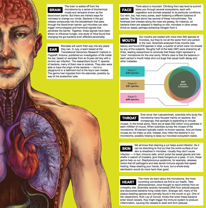 Cropped screenshot  of the online layout of The WIRED Atlas of the Human Ecosystem